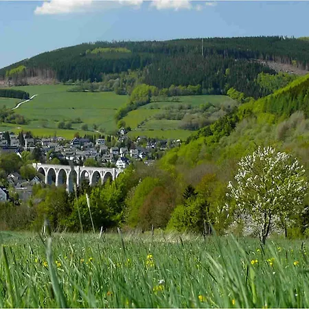 Wellnesshotel Buergerstuben 3* Willingen (Upland)