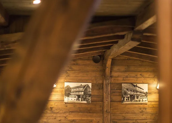 Wellnesshotel Buergerstuben 3* Willingen