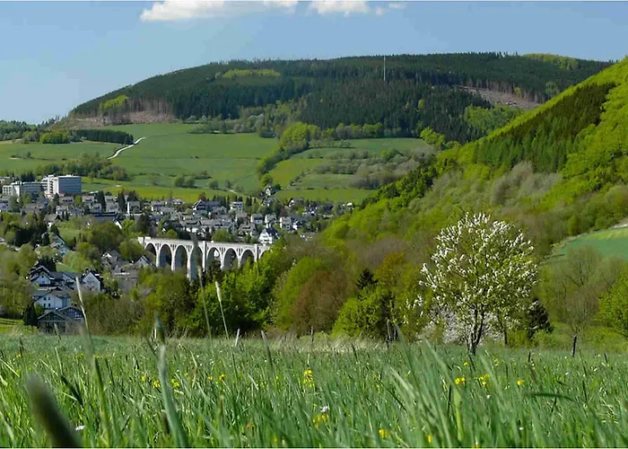 Wellnesshotel Buergerstuben 3* Willingen